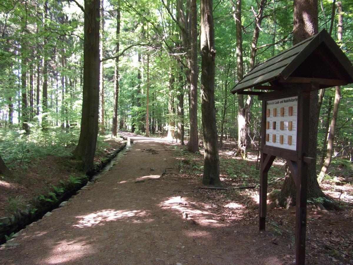 Ferienwohnung Erzgebirge - Pobershau - Mit Schoenem Ausblick, Ruhige, Beste Lage Luaran gambar