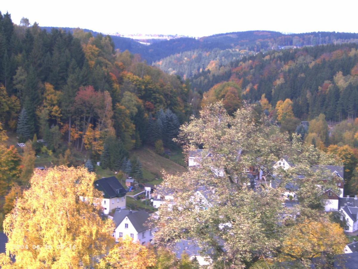 Ferienwohnung Erzgebirge - Pobershau - Mit Schoenem Ausblick, Ruhige, Beste Lage Luaran gambar